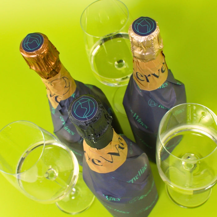 Blind Tasting at Home - Sparkling Wines