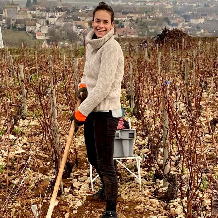 Domaine Sylvain Dussort