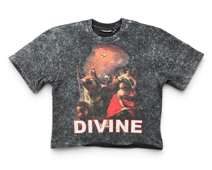Rebel Minds 'Divine' Rhinestone Cropped T-Shirt in Black