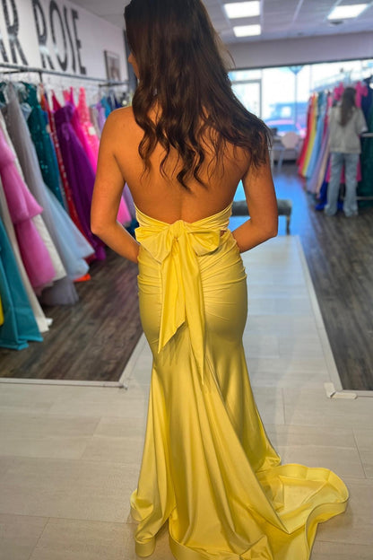Halter Sage Fitted Long Formal Dress