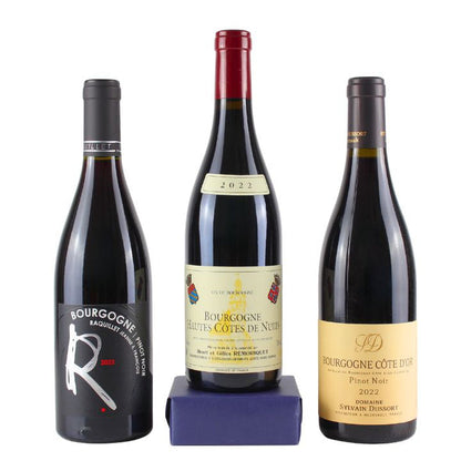 Buyer's Choice: An Introduction to Burgundy Red Wine
