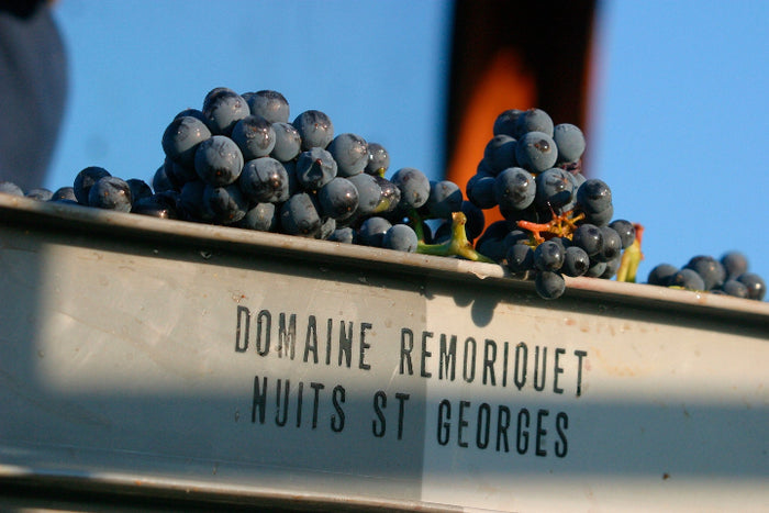 Domaine Remoriquet