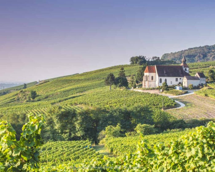 Charles Frey Riesling granite 2023