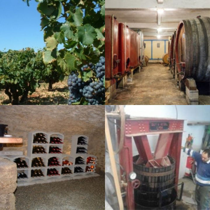 Collage of wine production stages including vineyard, cellar, storage, and winemaker.