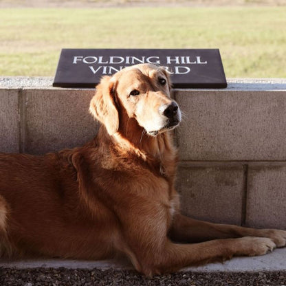 Folding Hill, Chardonnay 2022
